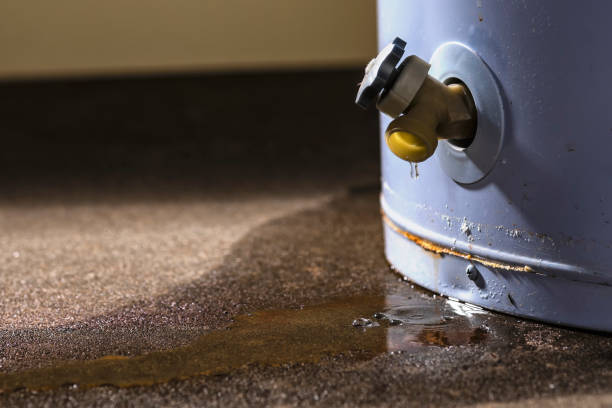 Best Water damage cleanup near me  in Pleasant Hill, OH