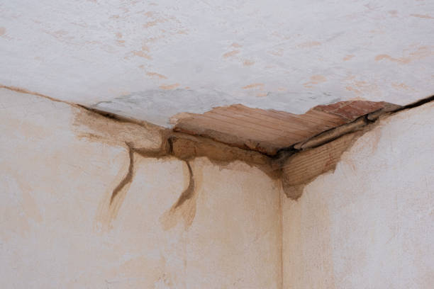 Best Water damage cleanup near me  in Pleasant Hill, OH