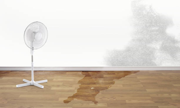 Carpet water damage restoration in Pleasant Hill, OH